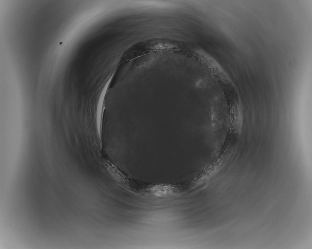 X0000116120762200911301327