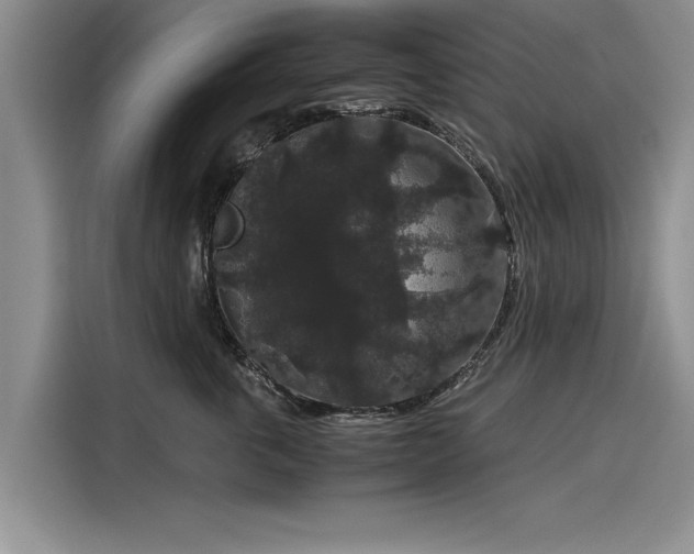 X0000116120763200911301327