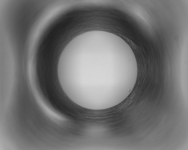 X0000116120766200911301327