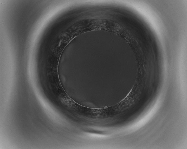 X0000116120767200911301327