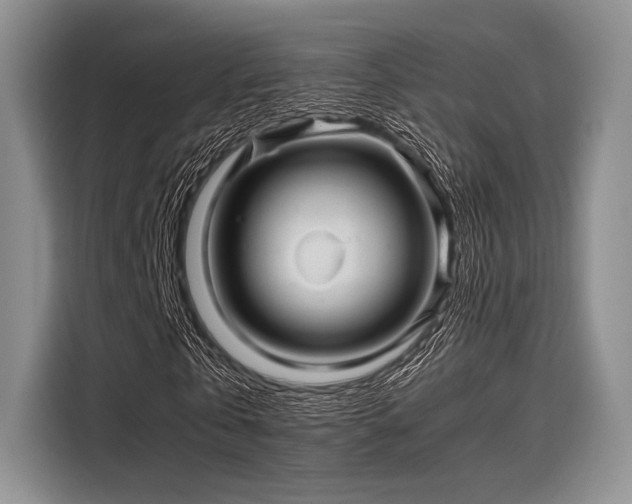 X0000116120769200911301326