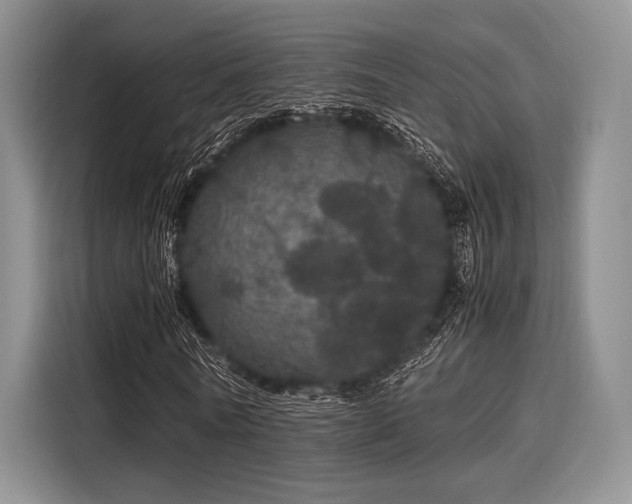 X0000116120770200911301326