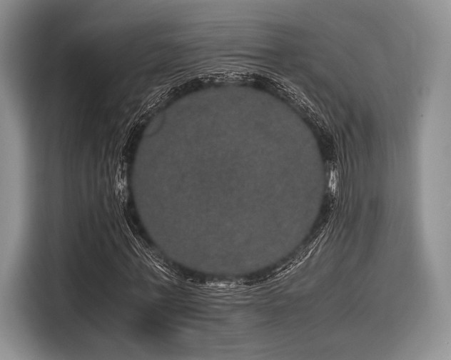 X0000116120771200911301326