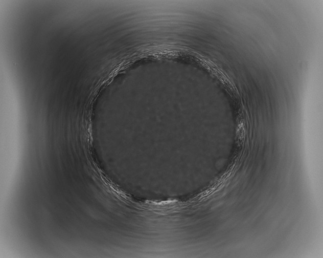 X0000116120772200911301326