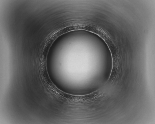 X0000116120773200911301326