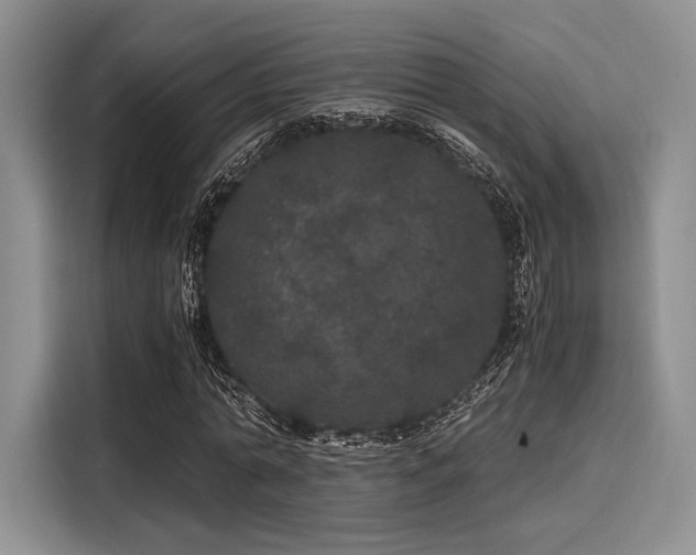 X0000116120774200911301326