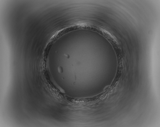 X0000116120776200911301326