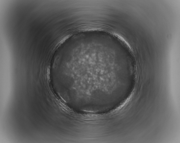 X0000116120777200911301326