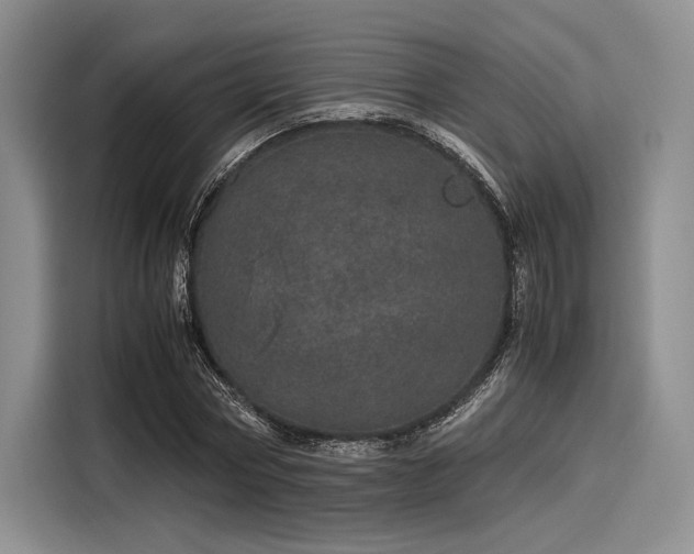 X0000116120778200911301326