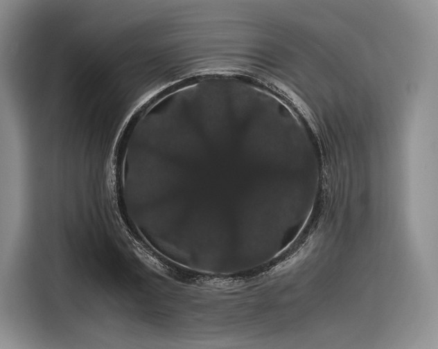 X0000116120779200911301326