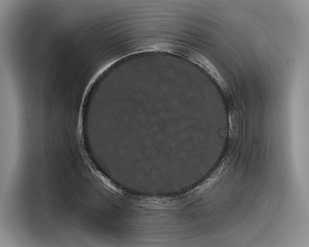 X0000116120780200911301326