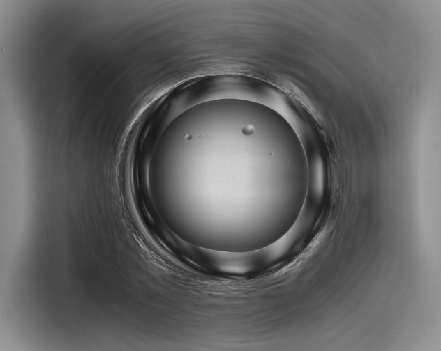 X0000116120781200911301326