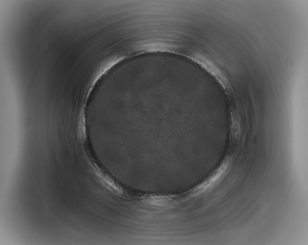 X0000116120782200911301326