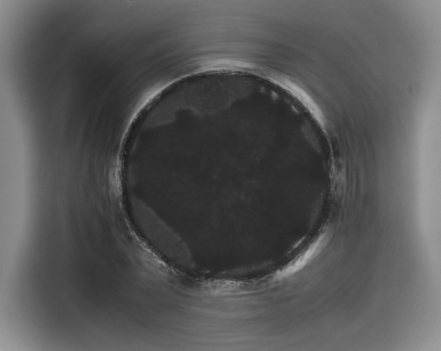 X0000116120783200911301326