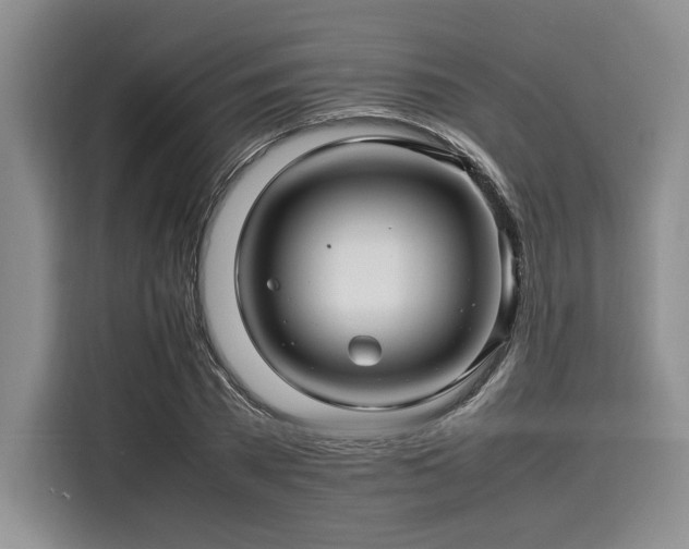 X0000116120785200911301326