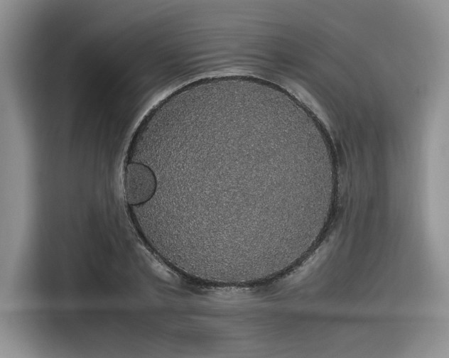 X0000116120789200911301326