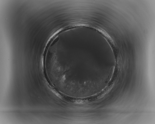 X0000116120790200911301326