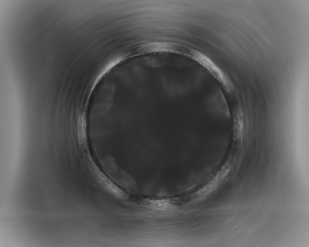 X0000116120798200911301326