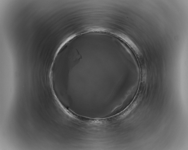 X0000116120806200911301326