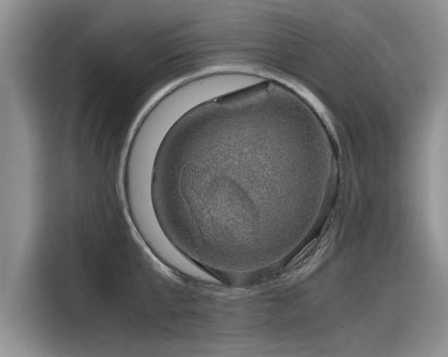 X0000116120807200911301326