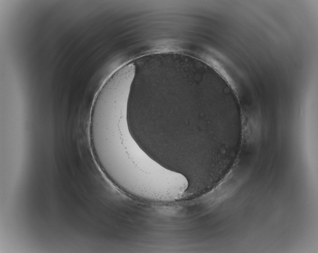 X0000116120810200911301326