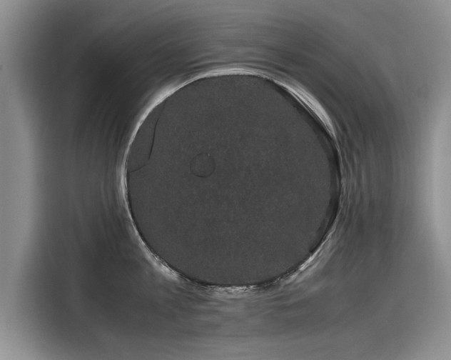 X0000116120813200911301326