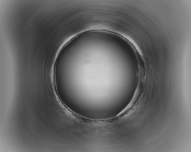 X0000116120815200911301326