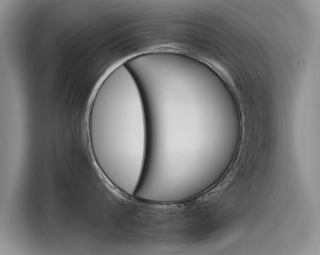 X0000116120816200911301326