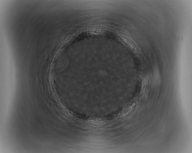 X0000116120817200911301325