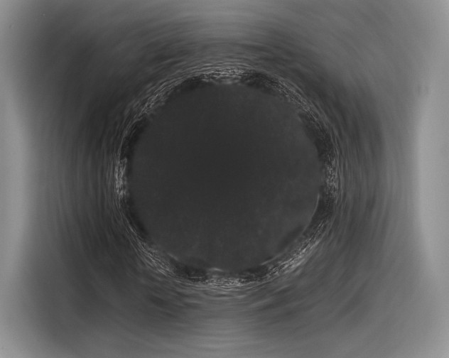 X0000116120818200911301325