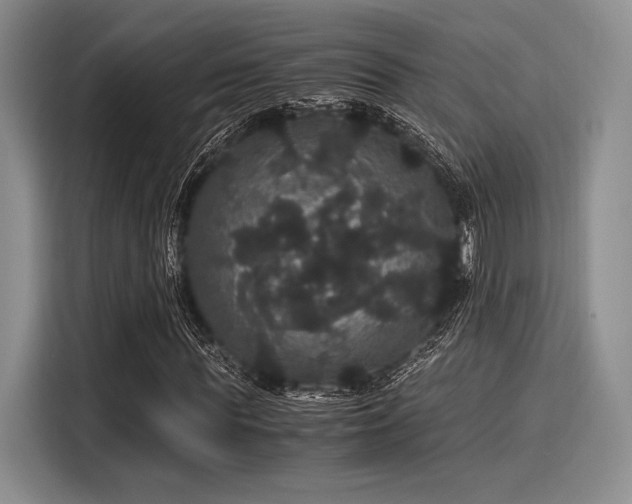 X0000116120819200911301325