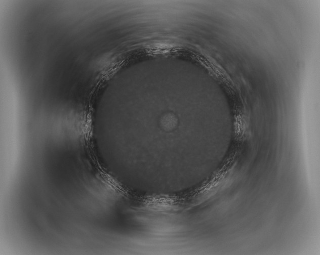 X0000116120820200911301325