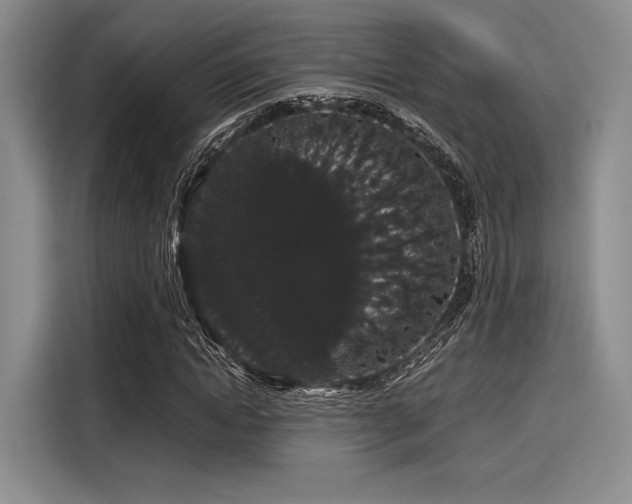 X0000116120822200911301325