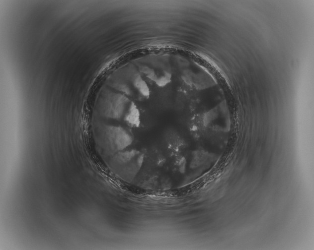 X0000116120823200911301325