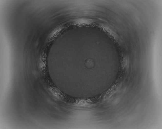 X0000116120824200911301325