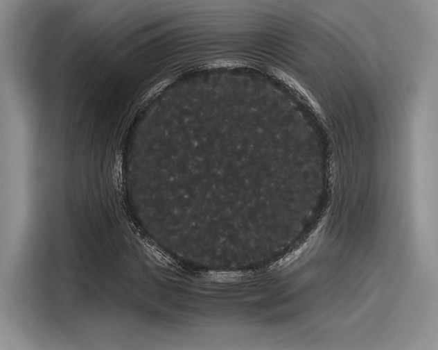 X0000116120825200911301325