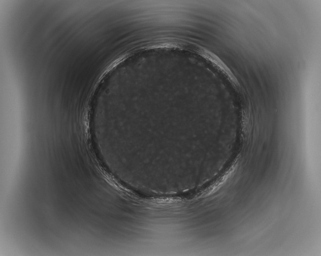 X0000116120826200911301325