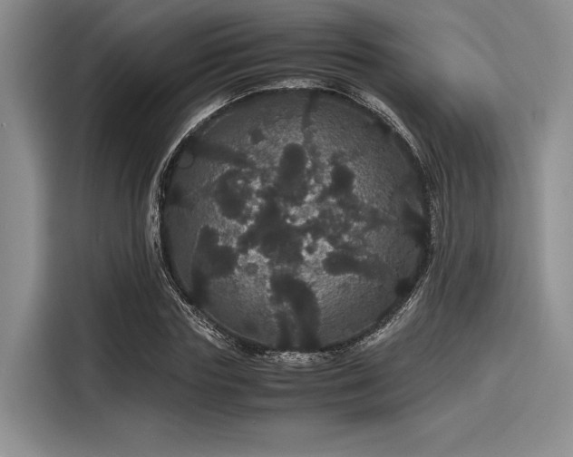 X0000116120827200911301325