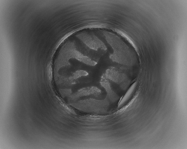 X0000116120829200911301325