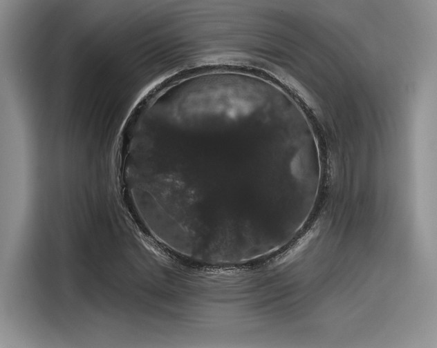 X0000116120830200911301325