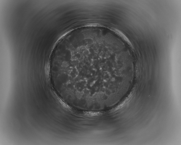 X0000116120831200911301325