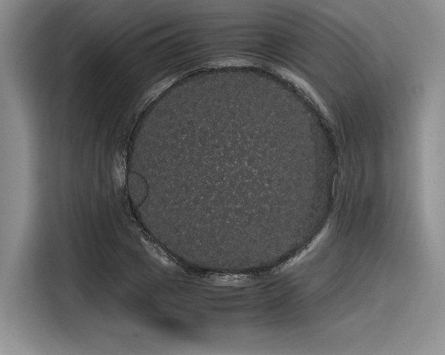 X0000116120833200911301325