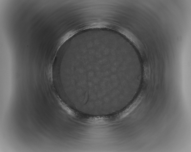 X0000116120834200911301325