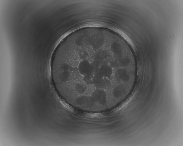 X0000116120837200911301325