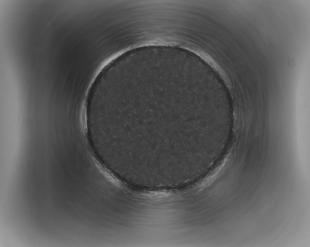 X0000116120838200911301325