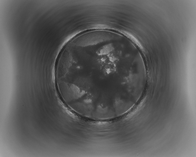 X0000116120839200911301325