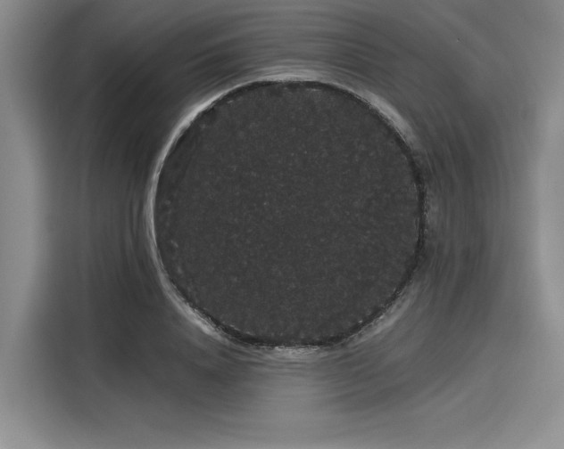 X0000116120840200911301325