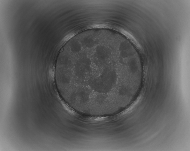 X0000116120841200911301325