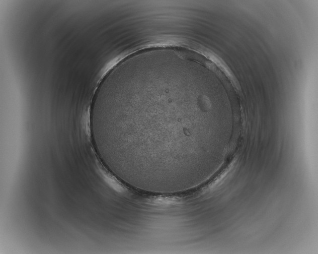 X0000116120842200911301325