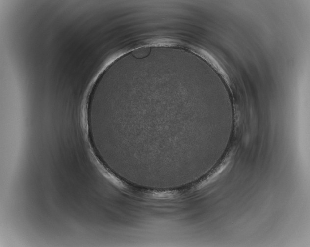 X0000116120843200911301325